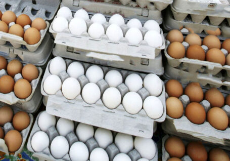 تغییر بسته بندی تخم مرغ؛ روش محتکران برای دور زدن نرخ مصوب