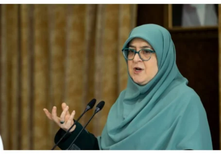 واردات ورق فولادی و تدابیر برق خانگی اعلام شد