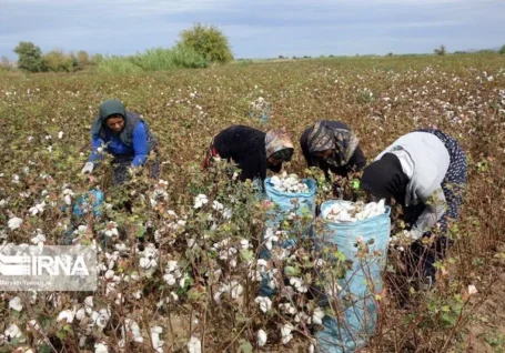 افزایش ۵۵ درصدی مستمری بازنشستگان صندوق بیمه اجتماعی روستاییان با اجرای متناسب سازی