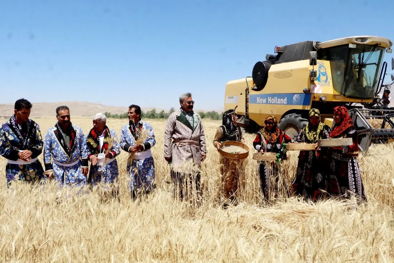 پیش بینی برداشت ۷۰۰ هزار تن گندم و جو از اراضی لرستان پیش بینی برداشت ۷۰۰ هزار تن گندم و جو از اراضی لرستان