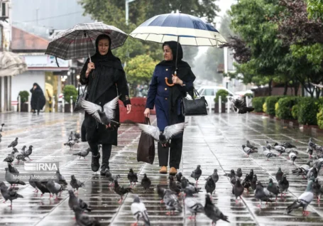 رگبار باران در ۱۳ استان نیمه شمالی کشور