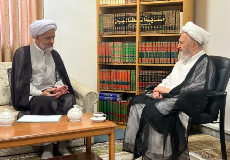 آیت الله سبحانی بر پاسداشت جایگاه علمی شهید لاریجانی تاکید کرد