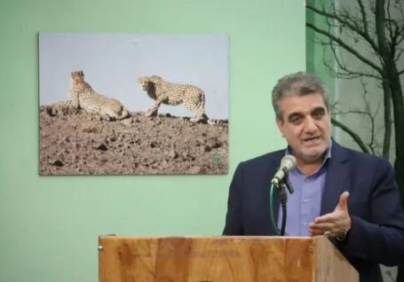 مدیریت چالش های محیط زیستی استان نیازمند هم افزایی و فرهنگ سازی عمومی است