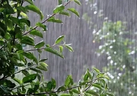 رگبار باران و تگرگ در خراسان رضوی؛حداقل دمای هوای مشهد به۱۷درجه می رسد