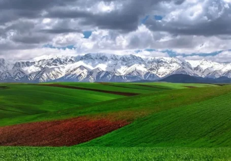 قالیکوه، الیگودرز زیبا